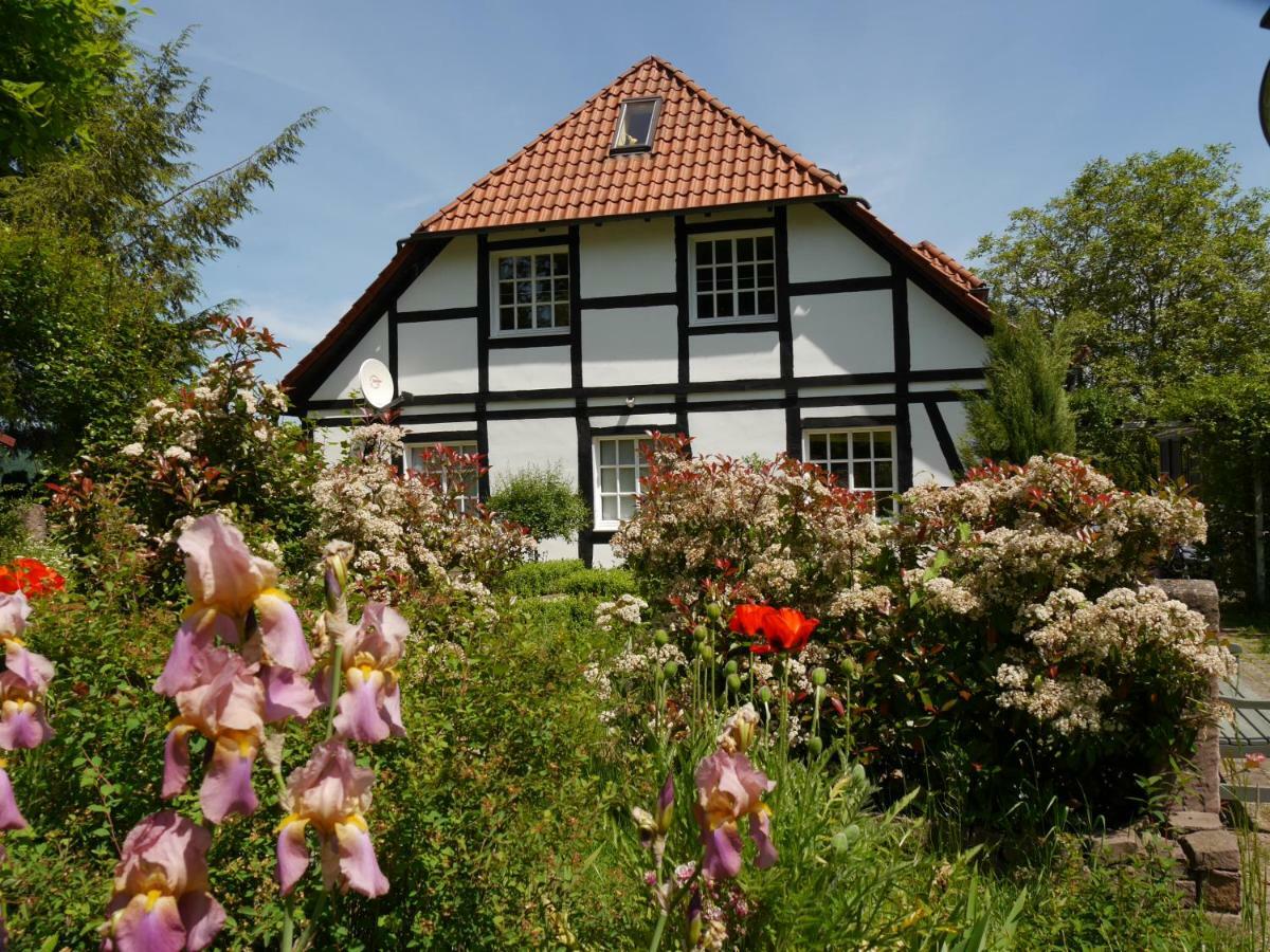Ferienwohnung Weserblick Polle Exterior photo